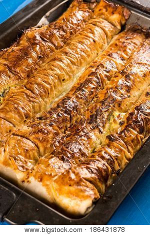 Closeup Macro Crips Baked Cheese Pie In The Baking Tray