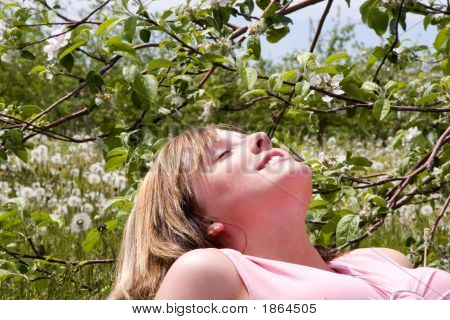 Obstgarten-Girl 2