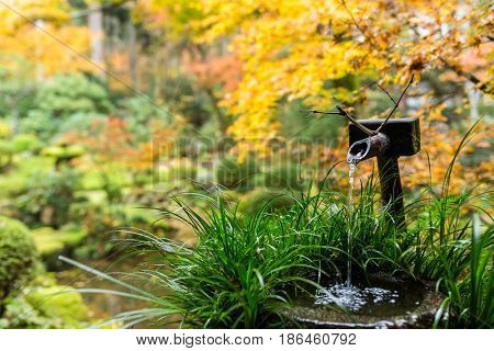 Water bamboo in japanese temple at autumn season