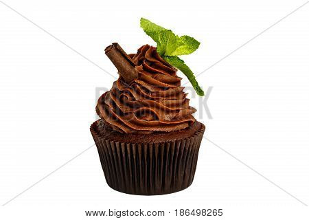 Chocolate sweet cupcake with mint and canella isolated on white background.