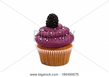 mulberry sweet cupcake with a berry on the top isolated on white background.