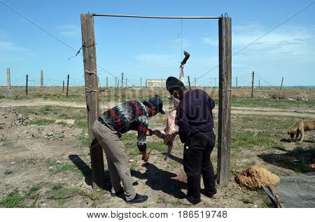 Area 38.(Ploshadka 38 ru.)People slaughtering a sheep on ruins space communication center.Sary Shagan.Former anti-ballistic missile testing range.Kazakhstan.May 6, 2017.Sary Shagan.Kazakhstan