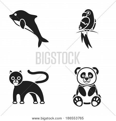 Panda.popugay, panther, dolphin.Animal set collection icons in black style vector symbol stock illustration .