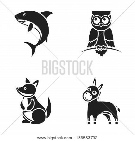Donkey, owl, kangaroo, shark.Animal set collection icons in black style vector symbol stock illustration .