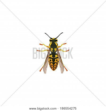 Realistic Wisp Element. Vector Illustration Of Realistic Bee Isolated On Clean Background. Can Be Used As Bee, Wisp And Sting Symbols.