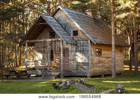 An old wooden house in a forest