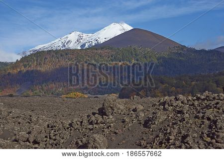 Snow capped peak of Volcano Llaima (3125 meters) rising above the lava fields and forests of Conguillio National Park in the Araucania region of southern Chile