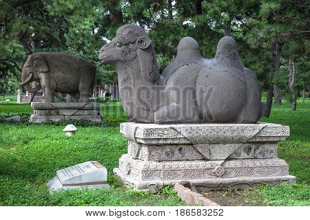 Shenyang, China - July 20, 2013: Sculptures of camel and elephant in Beiling Park, not far from Zhaoling Tomb of the Qing Dynasty