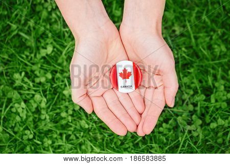 Macro closeup shot of hands palms holding round badge with red white canadian flag maple leaf on green grass forest nature background outside Canada Day celebration