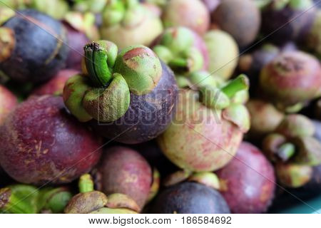 Mangosteen the queen of fruits Delicious. mangosteen fruit arranged on a basket.