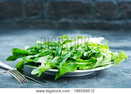 Rucola