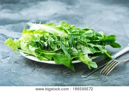Rucola