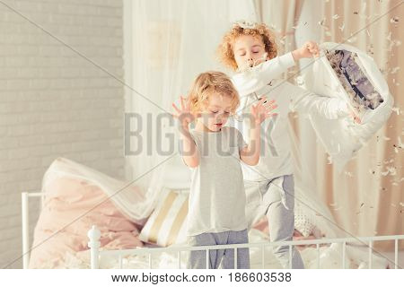 Brothers Having Pillow Fight
