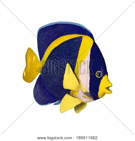 3D Rendering Scribbled Angelfish On White
