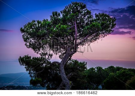 Sunset from Mountain Tibidado in Barcelona Spain Europe