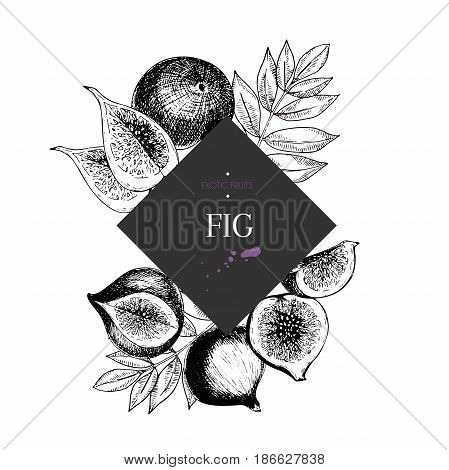 hand drawn smoothie bowls poster. Exotic engraved fruits. Square border composition. Fig whole half slice and leaves. Use for exotic restaurant food partty