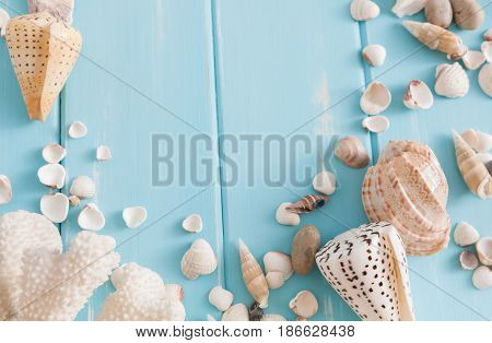 Seashells on blue wood, sea vacation background with copy space on wooden planks