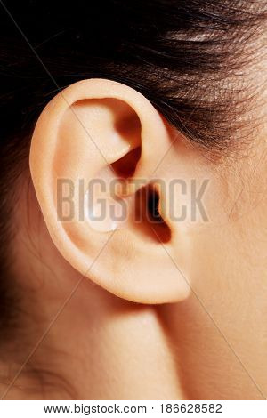 Close up photo of a female ear