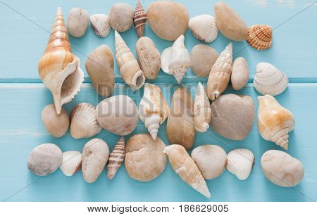 Seashells and pebbles flat lay pattern on blue wood, sea vacation collection background on wooden planks, top view