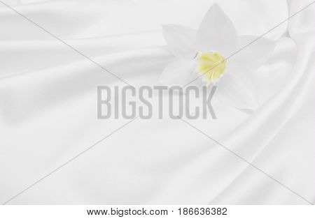 Beautiful white flower on smooth elegant white silk or satin luxury cloth texture can use as wedding background. Luxurious background design