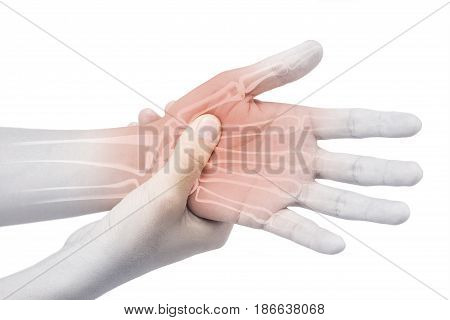 wrist bones injury white background wrist pain