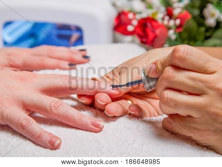 manicurea  Beautician puts enamel on woman hand