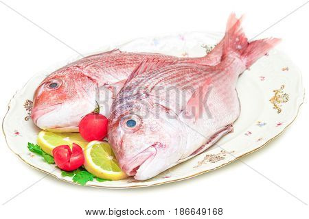 couple of Raw porgy on white background