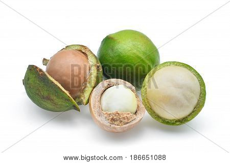 fresh macadamia isolated on the white background