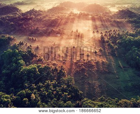 Aerial view of landscape with mist in morning light. Bohol, Philippines 2017.