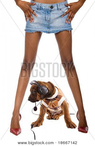 Štěně rhodéského ridgebacka, poslech hudby, posezení mezi nohama africké dívky, složené fotografie
