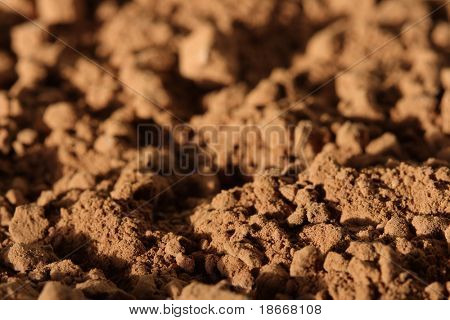 fond de poudre de cacao. shallow DOF