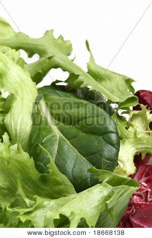 verse groene groene salade met tatsoi, close-up, geïsoleerde