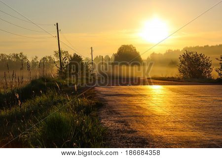 Country road bathed in the morning sun with fog