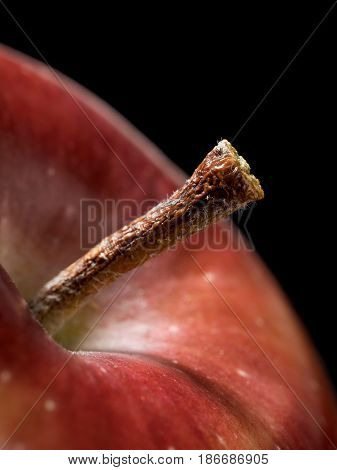 Close up Photo of Red Apple Stem
