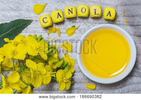 Canola With Oil Concept On Gray Wood