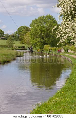 View along the 200 year old Shropshire Union canal on a summer afternoon in England United Kingdom