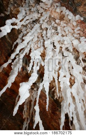 White salt stalactites in a cave seen from the bottom