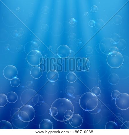 soap bubbles in the light rays of the shining rise up