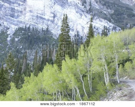 Little Cottonwood Canyon