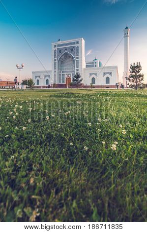 A big beautiful Mosque (Islamic temple) with grass over blue sky (toned)