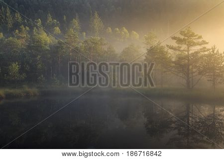 bog lake in morning fog romania, transylvania