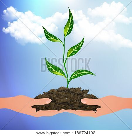 The plant sprouted from the clods on the palms, vector art illustration.