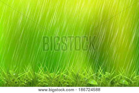 Green grass under the summer rain, vector art illustration.