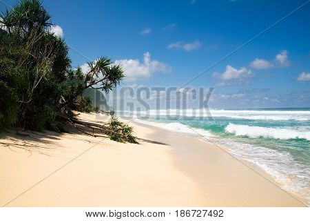 Beautiful secret tropical sea beach with gorgeous waves on the island dream paradise of Bali nature. Indonesia outdoor landscape with fantastic white sand shoreline with palm trees and blue ocean