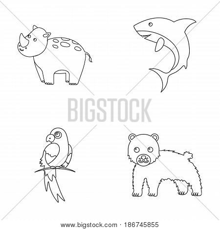 Rhinoceros, shark, parrot, bear.Animal set collection icons in outline style vector symbol stock illustration .