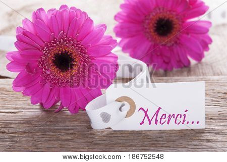 Label With French Text Merci Means Thank You. Pink Spring Gerbera Blossom. Vintage, Rutic Or Aged Wooden Background. Card For Spring Greetings.