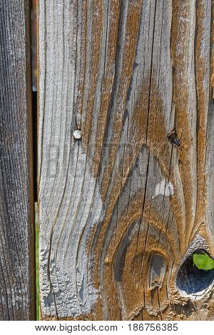 Close up of weathered brown and grey fence board background with a knot in it