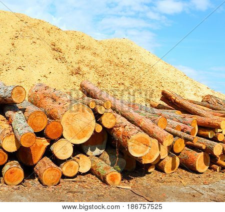 Pile of logs and heap of saw dust. Wood as a renewable energy source.