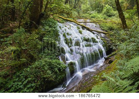 The waterfall at Doi-intanon nation park.Freshness concept