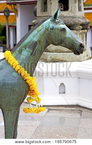 Horse   The Temple Bangkok Asia   Thailand Abstract Bronze